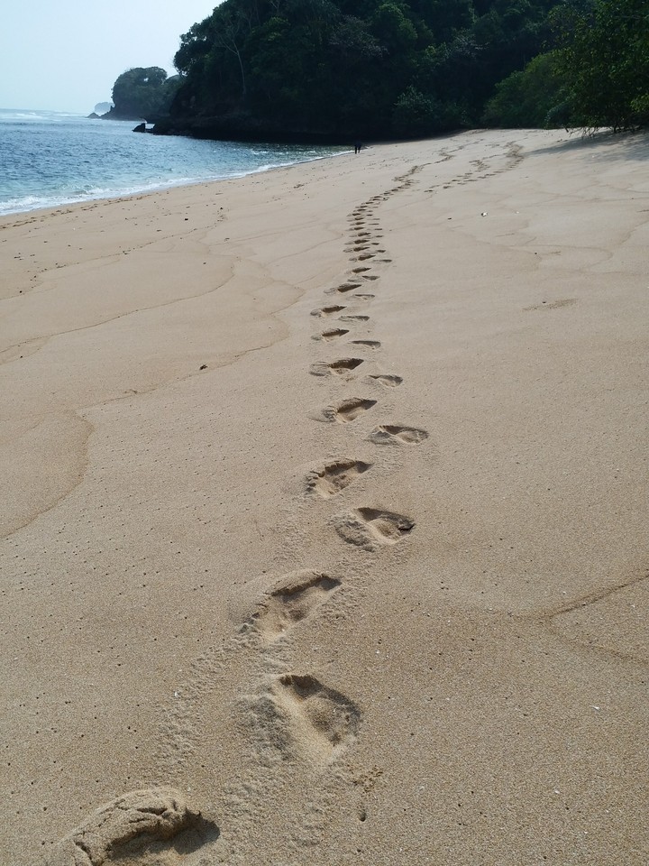 Tracks on Sand