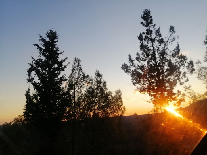 Like Summer