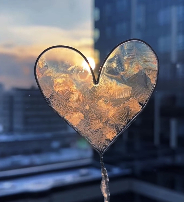 сердце