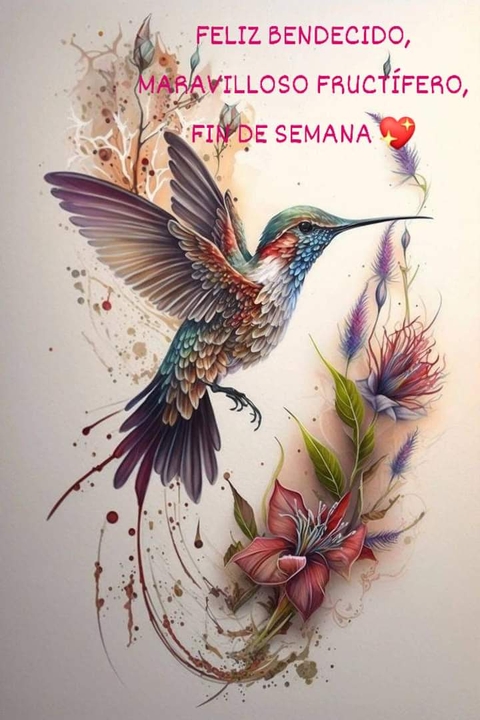 шпалери wing, bird