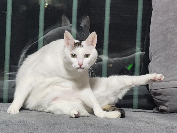 .