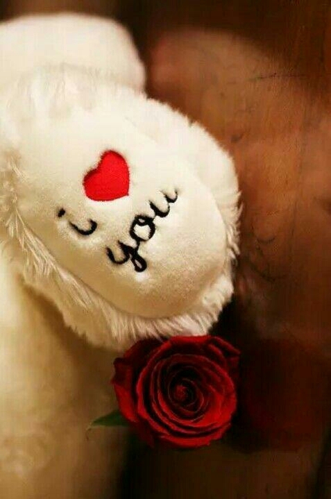 i love you
