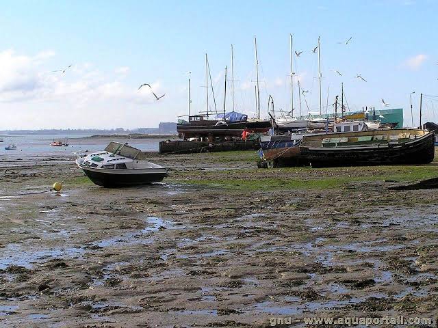 boats
