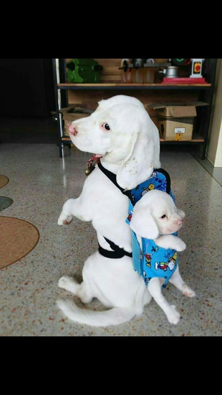 Lovely MoM