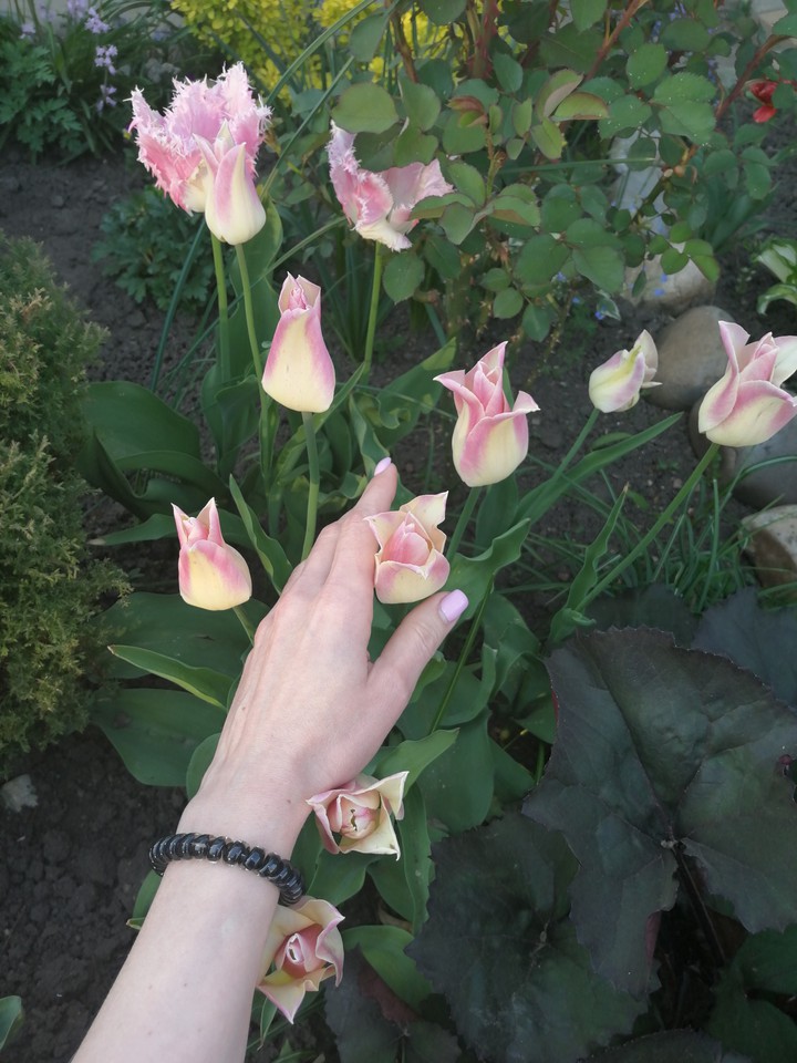 Spring