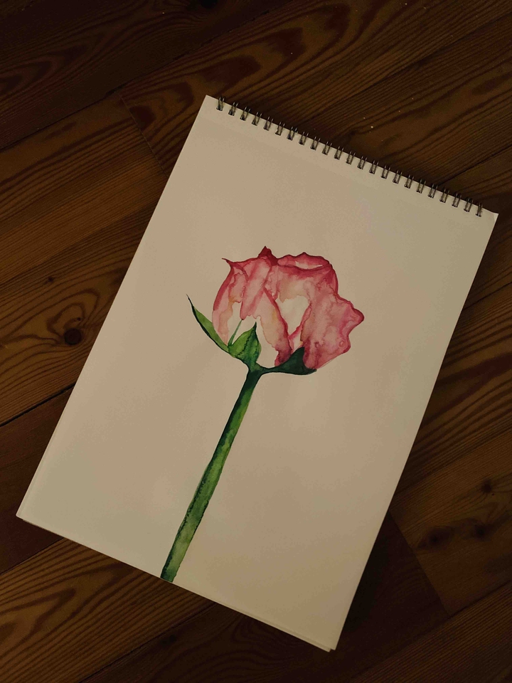 rose