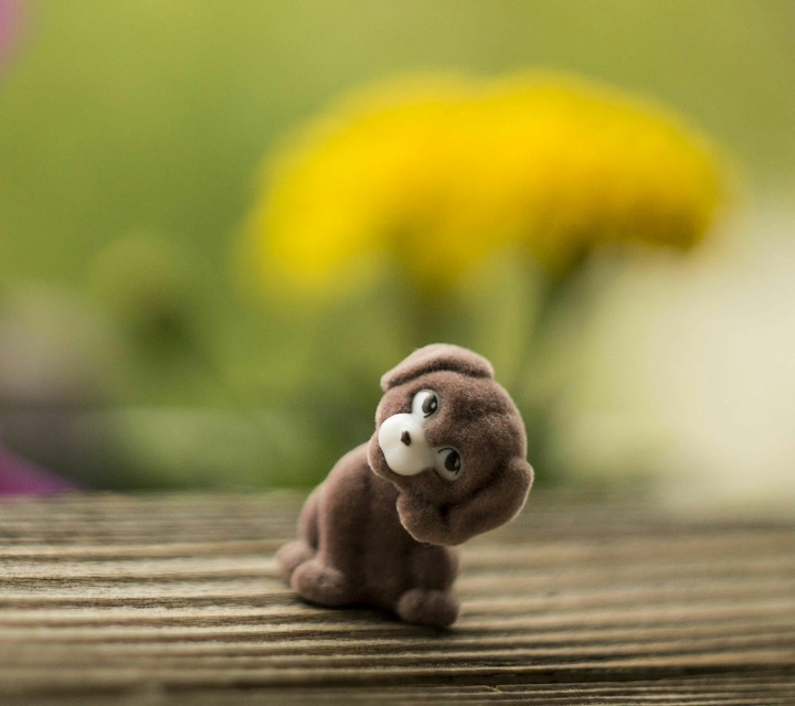 cute