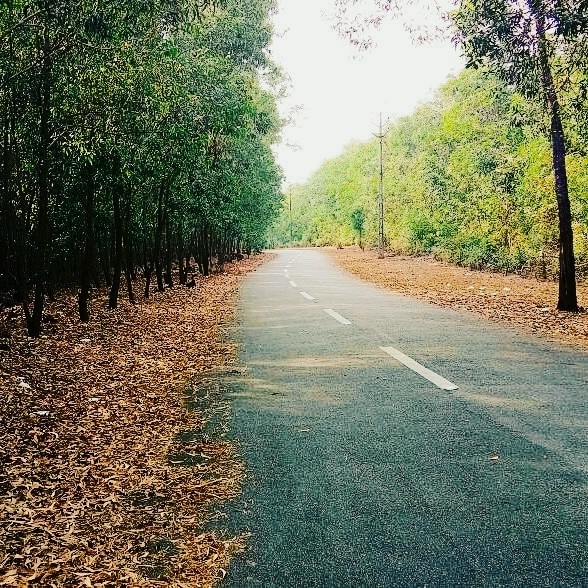 Road to heaven....