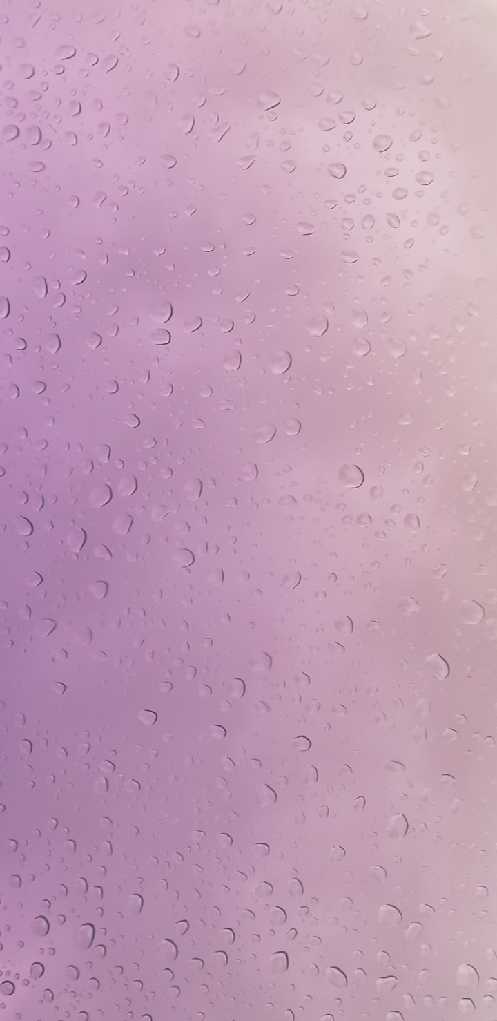 pink and purple