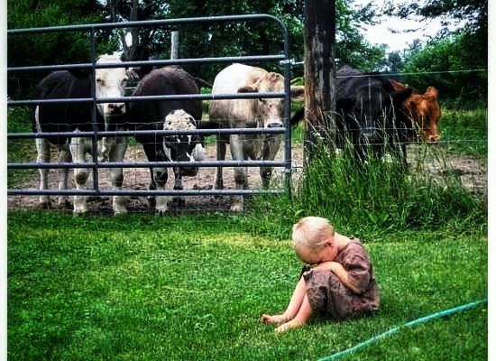 Back on the Farm