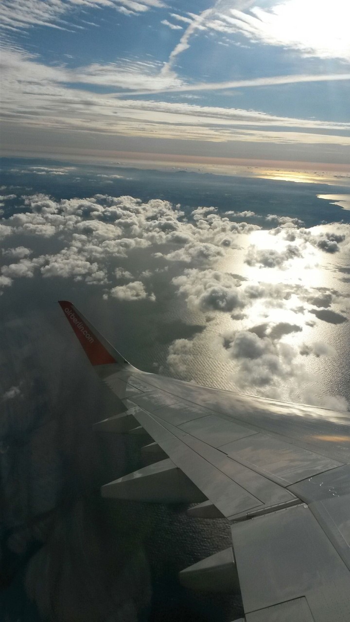 airplane!