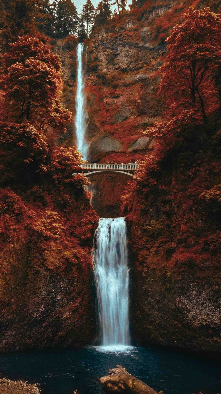 beauty of nature