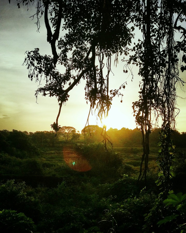 sunset