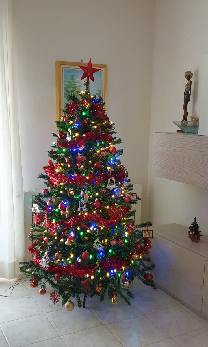 albero 2020