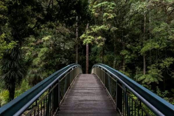 bridge