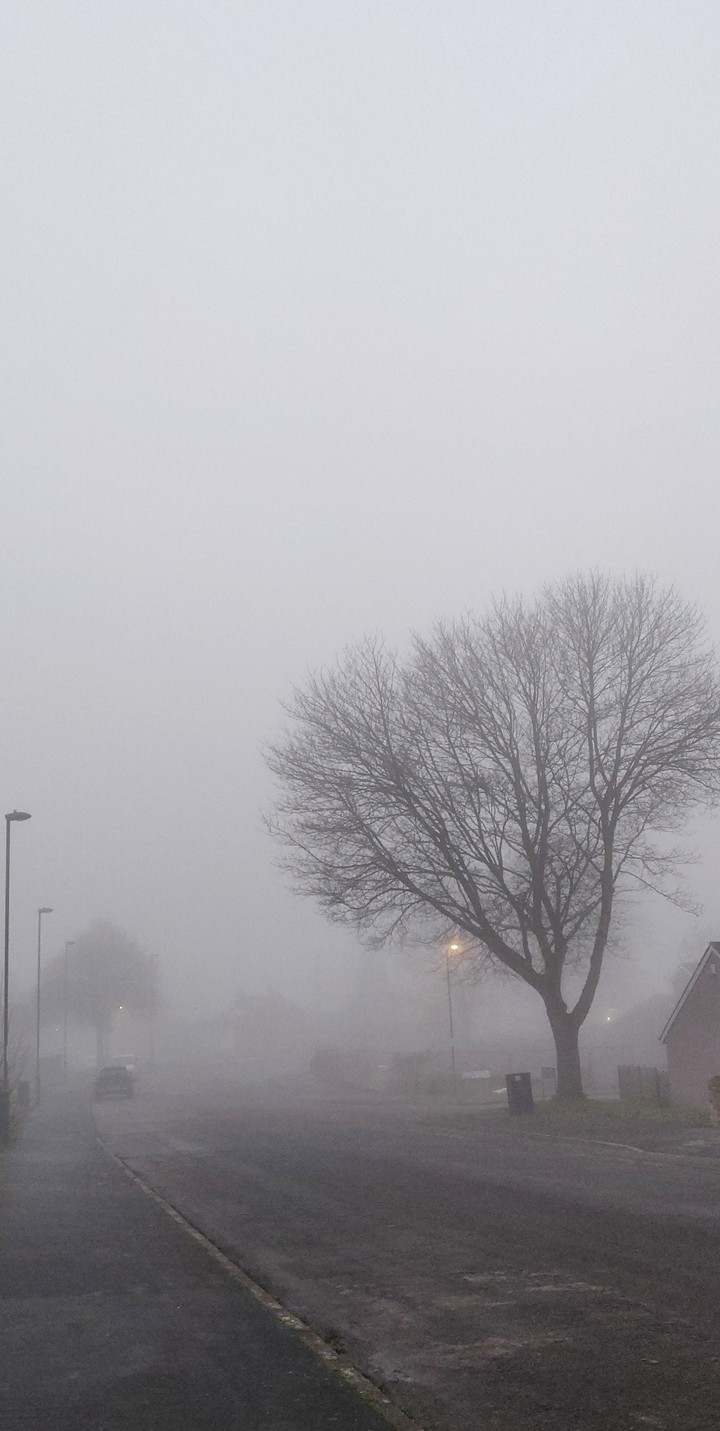 foggy days