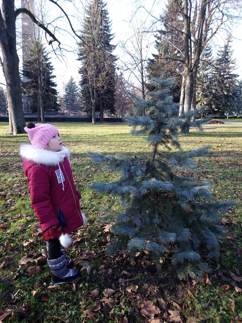 walk in the park