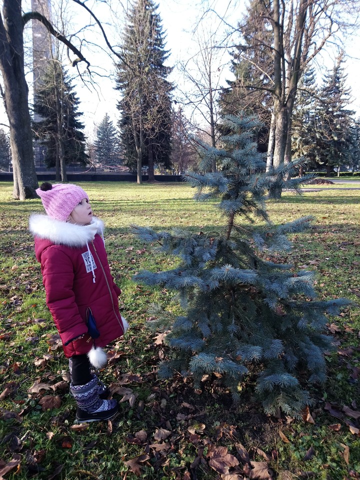 walk in the park