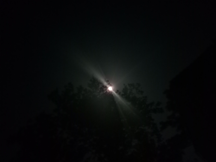 DARK NIGHT