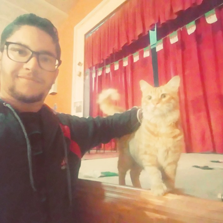 whene you're a cat but with a lion soul