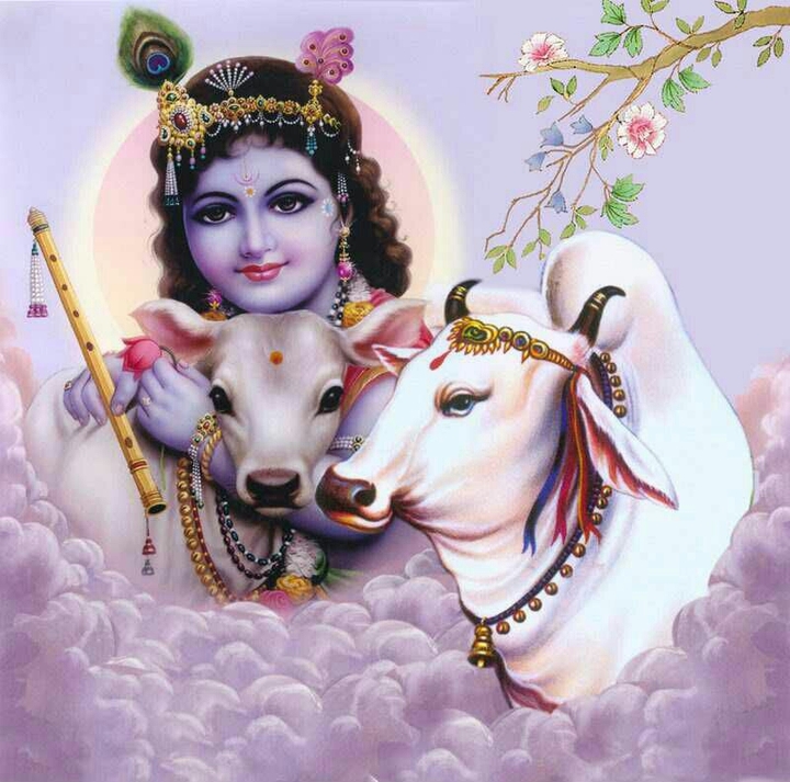 lord krishna