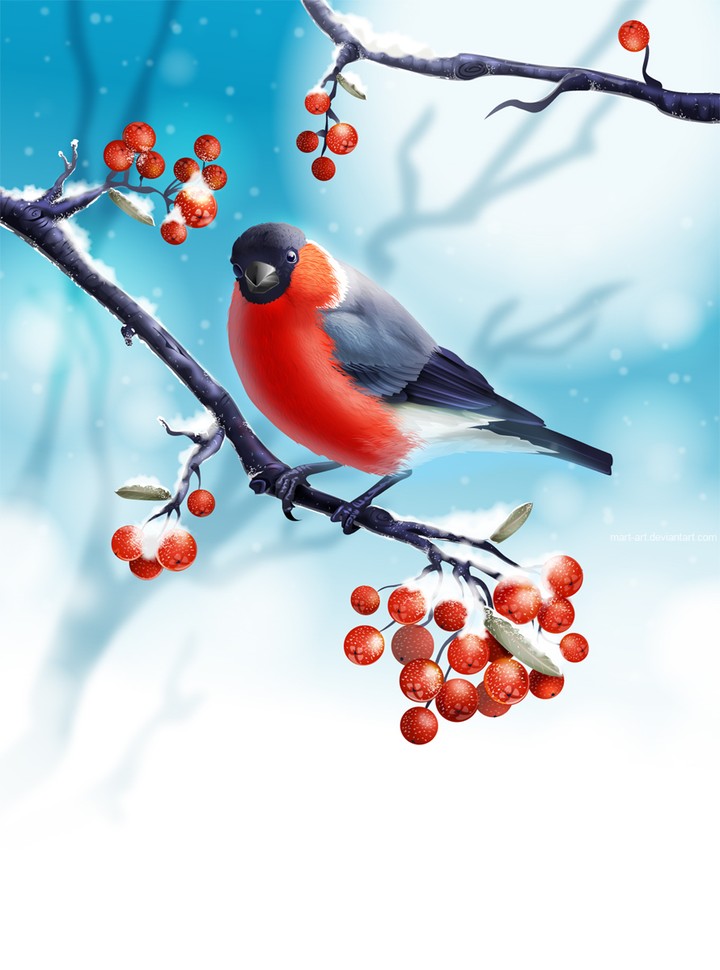 cute birdi