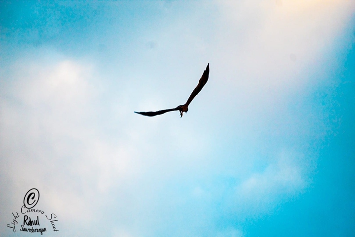 High in the Sky