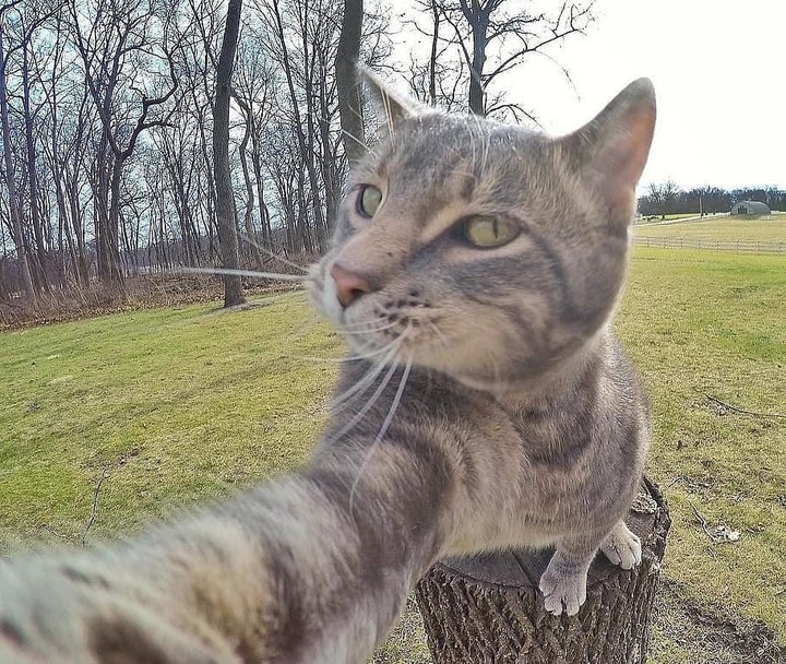 #selfie3