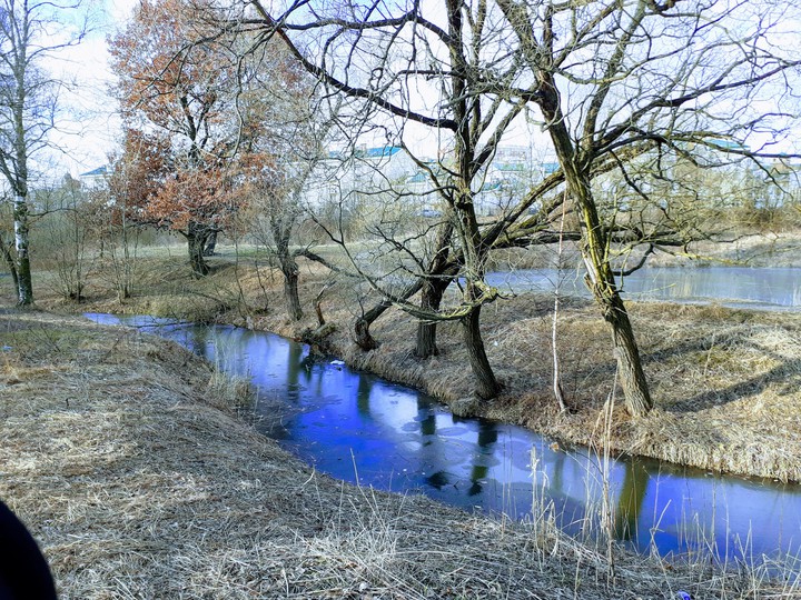 Парк Александрино