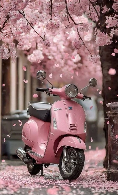 tapety Scooter, petal