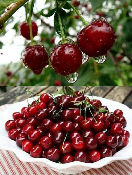 For your my all friend's!!!!! gn my all friends@@@@@