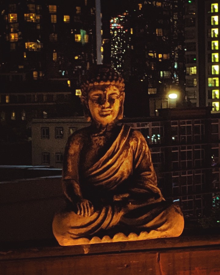 Buddha at a rooftop party