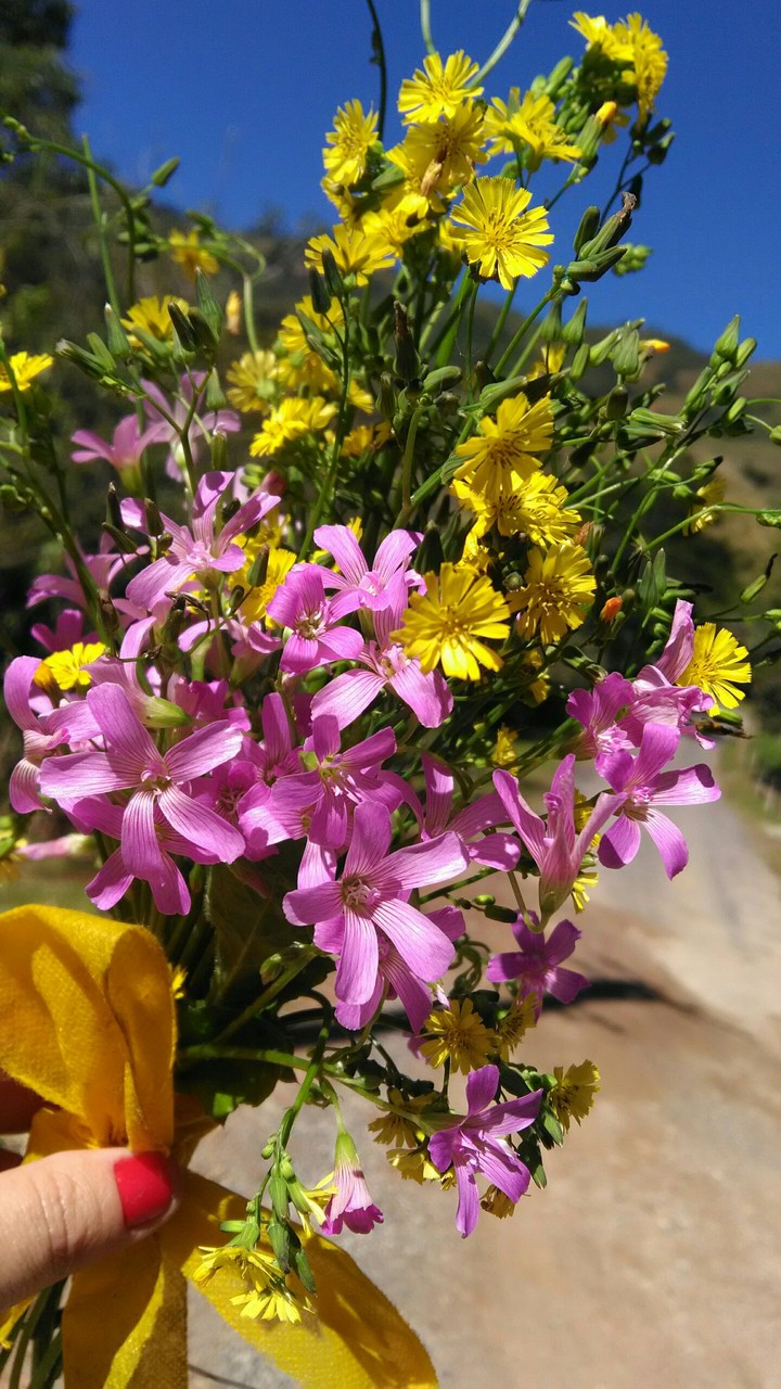 oooo