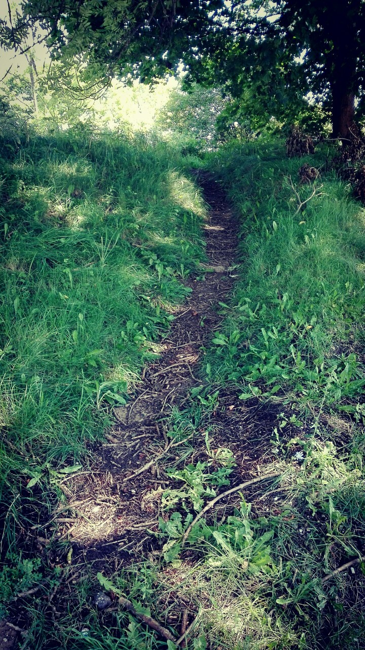 path