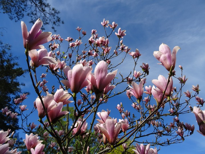 Frühling