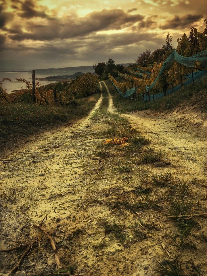 Autumn Balaton