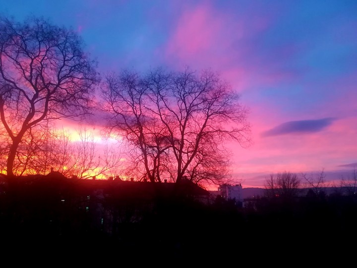 Sky