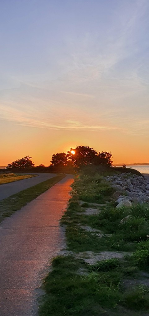 Die Sonne leuchtet den Weg