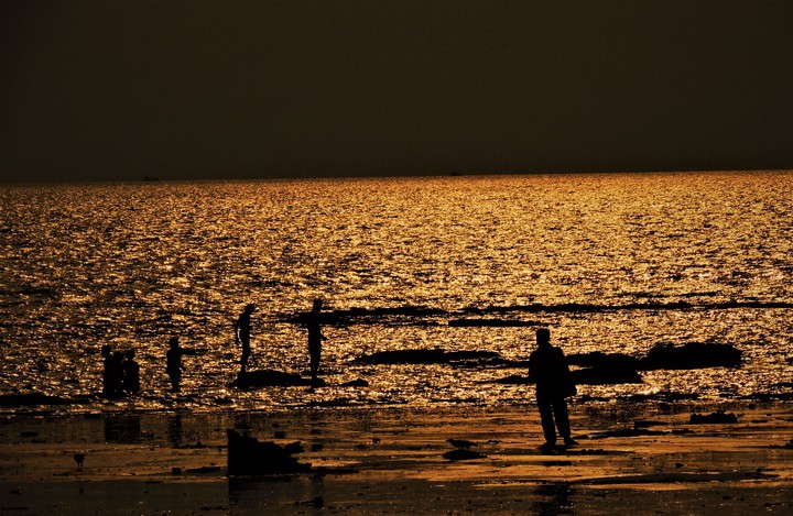 Golden Sunset