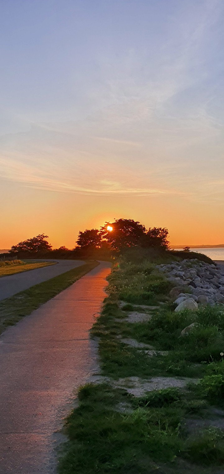 Die Sonne leuchtet den Weg