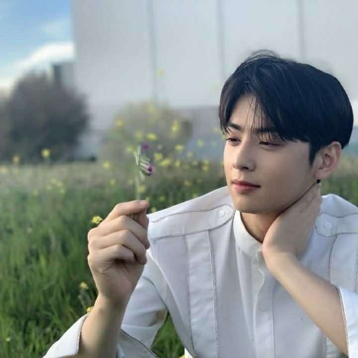Cha Eun Woo