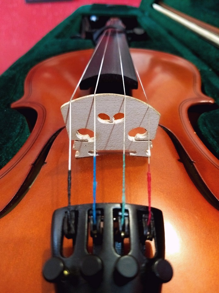 Violin