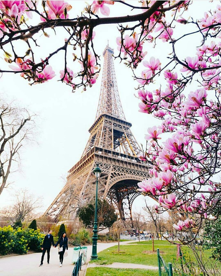 Paris,France