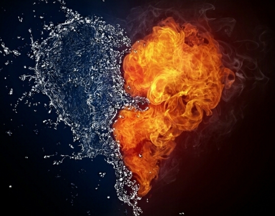 heart