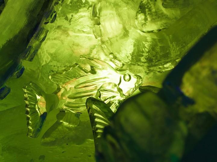 ice fish