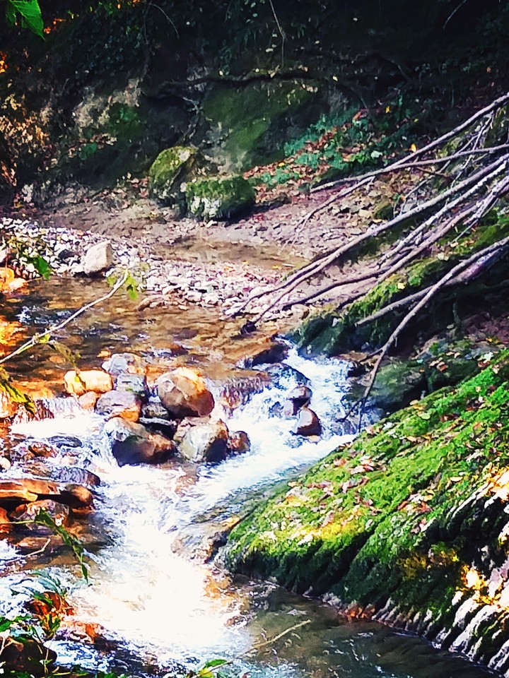 горная река