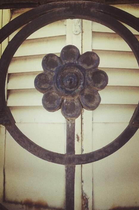 Flor