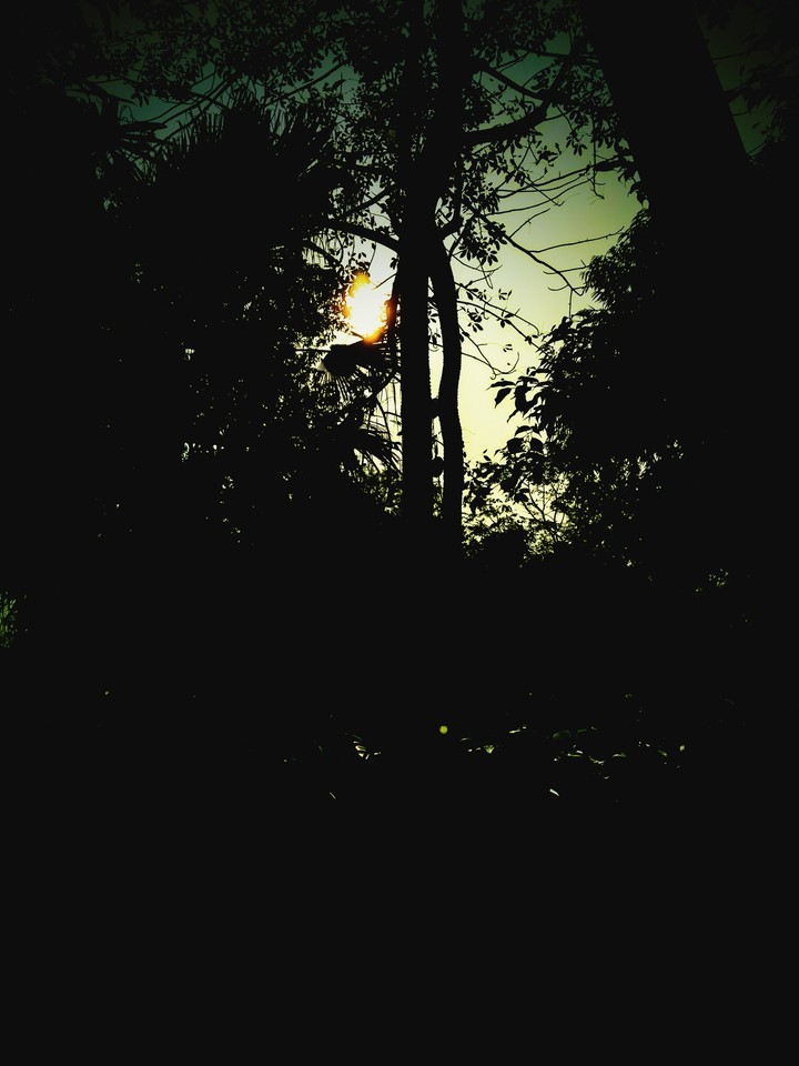 hide & seek