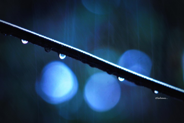 rain drops