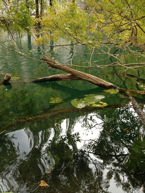 canion